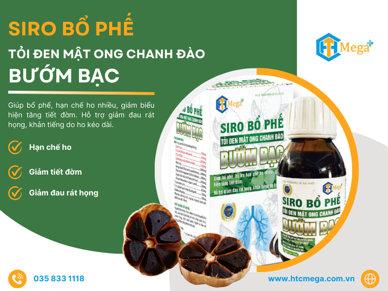 Siro bổ phế tỏi đen mật ong chanh đào bướm bạc
