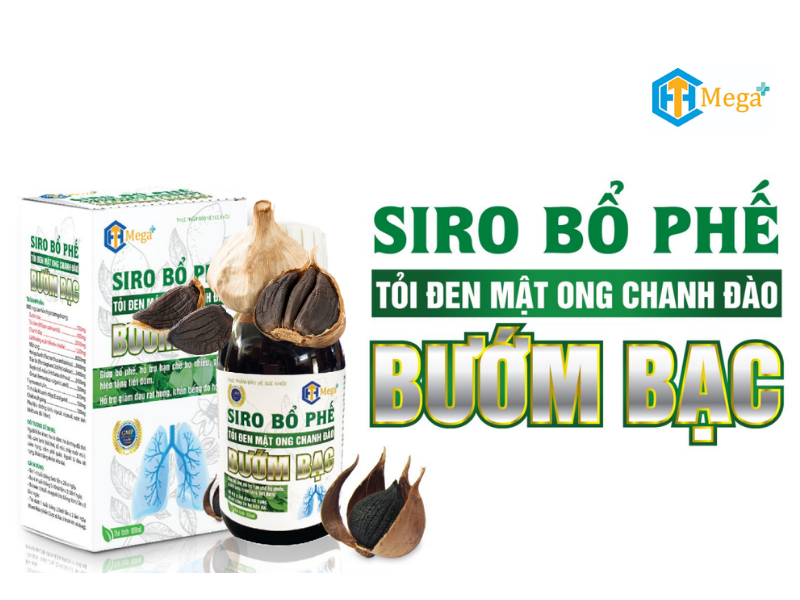 Siro bổ phế tỏi đen mật ong chanh đào bướm bạc