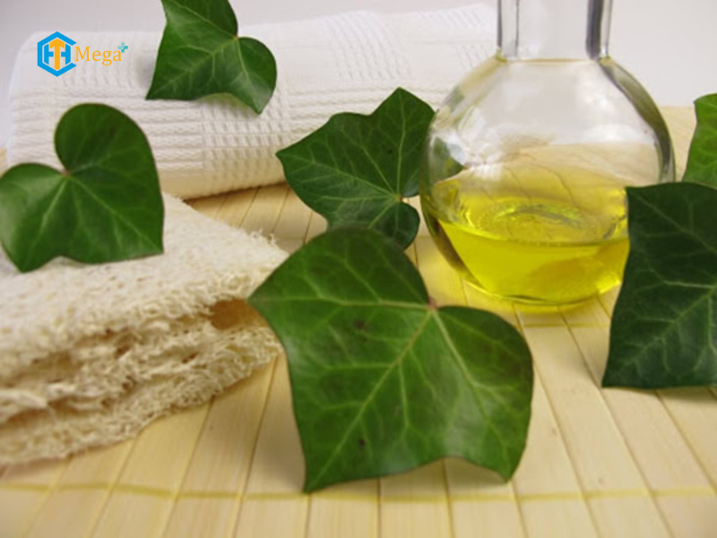 Công dụng của cao lá thường xuân đối với sức khỏe